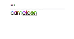 Desktop Screenshot of cameleonpaint.com